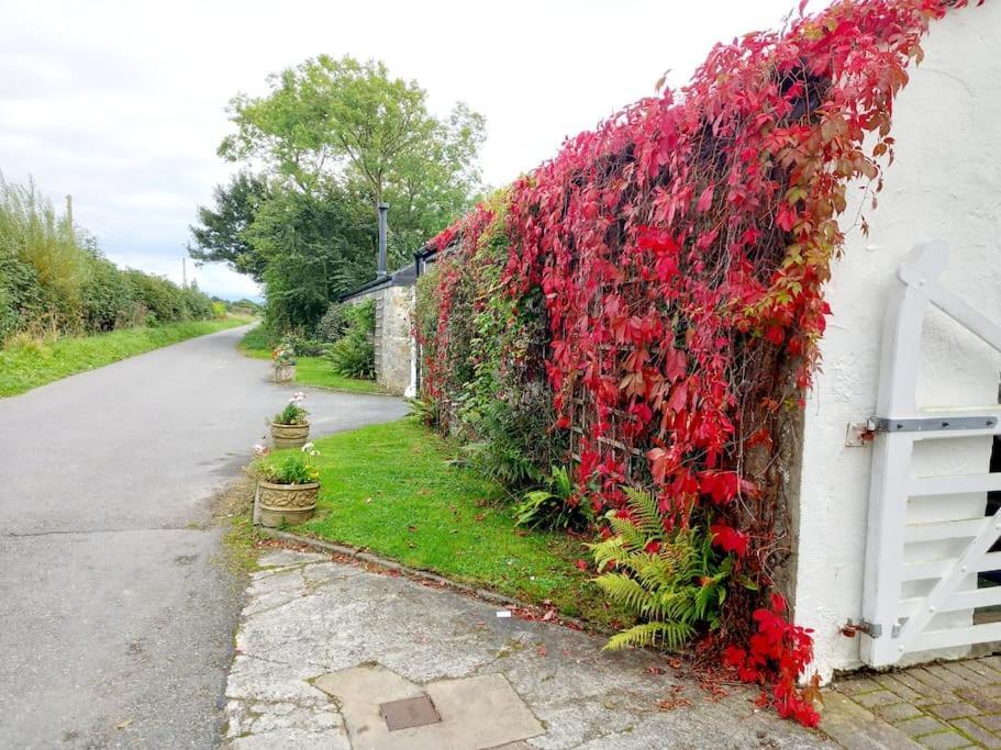 Rhos Y Bel Cottage Angelsey Llangadwaladr  Eksteriør billede