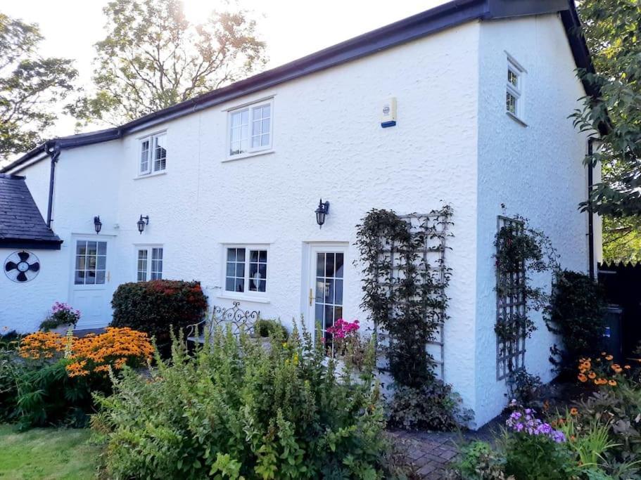 Rhos Y Bel Cottage Angelsey Llangadwaladr  Eksteriør billede